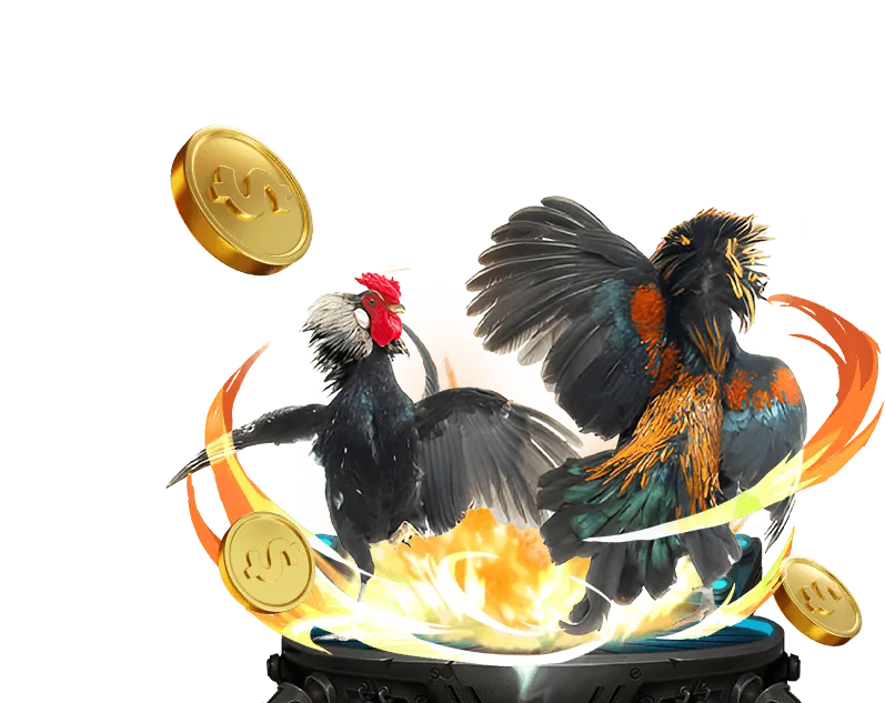 Các giống gà chọi nổi tiếng của Campuchia